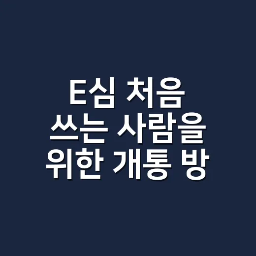 E심 처음 쓰는 사람을 위한 개통 방법과 실수 줄이는 팁 - 요약
