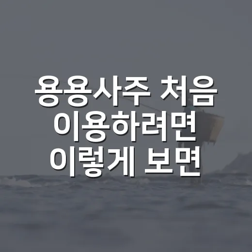 용용사주 처음 이용하려면 이렇게 보면 편해요 - 요약