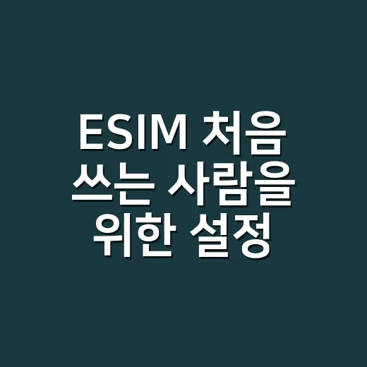 ESIM 처음 쓰는 사람을 위한 설정 방법과 체크할 것들 - 요약