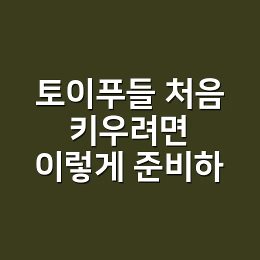 토이푸들 처음 키우려면 이렇게 준비하면 편해요 - 요약