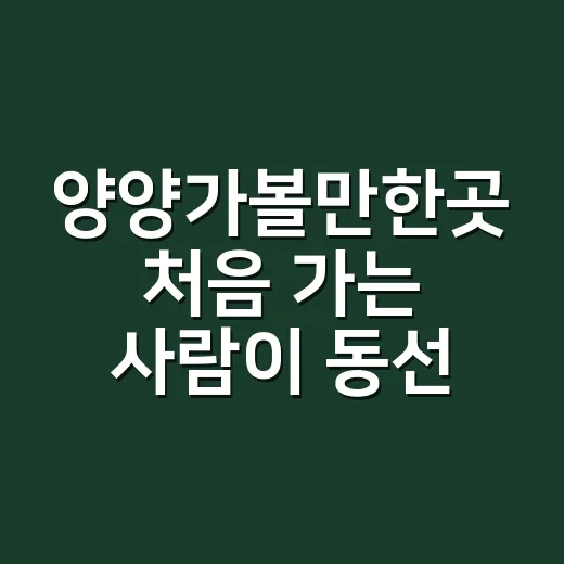 양양가볼만한곳 처음 가는 사람이 동선 짜는 방법 - 요약