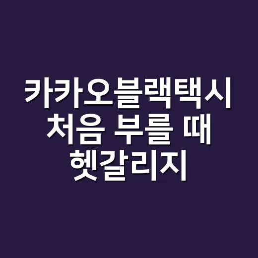카카오블랙택시 처음 부를 때 헷갈리지 않는 이용 방법 - 요약