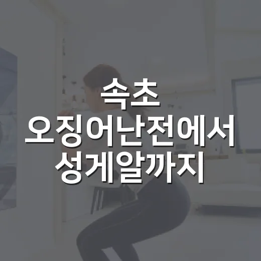 속초 오징어난전에서 성게알까지 먹으려면 이렇게 확인하는 방법 - 요약