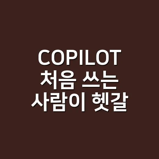 COPILOT 처음 쓰는 사람이 헷갈리지 않고 활용하는 방법 - 요약