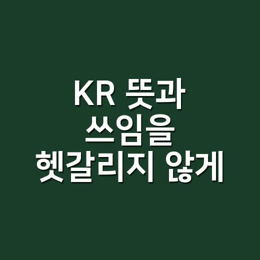KR 뜻과 쓰임을 헷갈리지 않게 확인하는 방법 - 요약