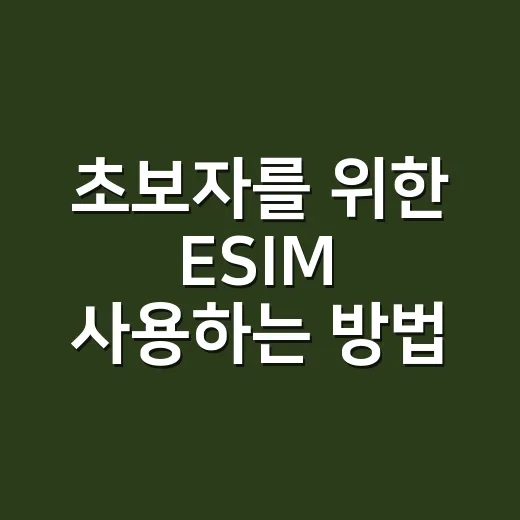 초보자를 위한 ESIM 사용하는 방법, 해외여행 전에 이렇게 준비하면 편해요 - 요약