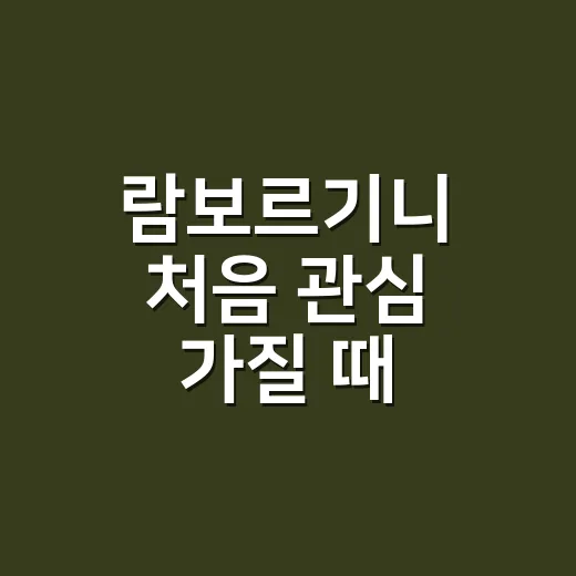 람보르기니 처음 관심 가질 때 현실적으로 비교하는 방법 - 요약
