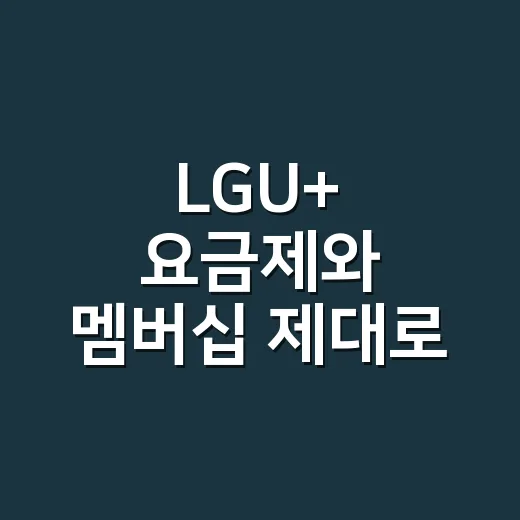 LGU+ 요금제와 멤버십 제대로 고르는 방법 - 요약