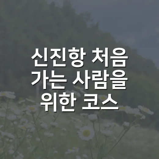 신진항 처음 가는 사람을 위한 코스 짜는 방법 - 요약