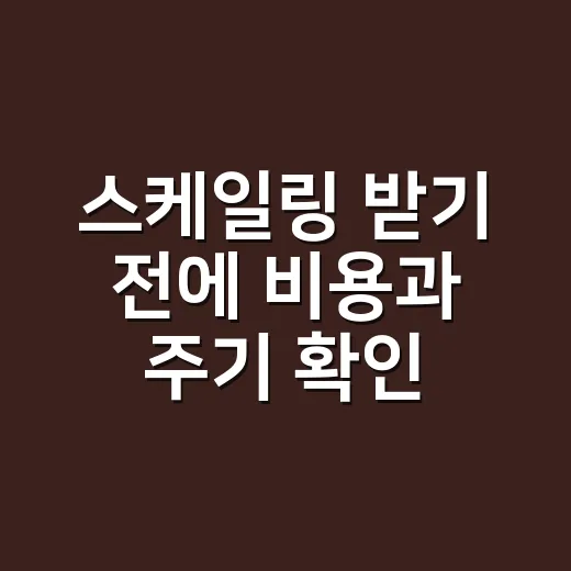 스케일링 받기 전에 비용과 주기 확인하는 방법 - 요약