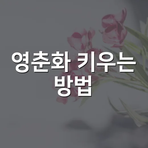 영춘화 키우는 방법, 초보자도 봄꽃 먼저 피우려면 이렇게 - 요약