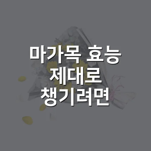 마가목 효능 제대로 챙기려면 이렇게 드세요 - 요약