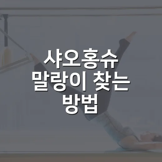 샤오홍슈 말랑이 찾는 방법, 초보자가 실패 줄이려면 이렇게 고르세요 - 요약