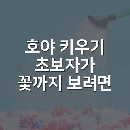 호야 키우기 초보자가 꽃까지 보려면 이렇게 관리하면 됩니다 - 요약
