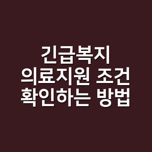 긴급복지 의료지원 조건 확인하는 방법, 병원비가 급할 때 이렇게 준비하세요 - 요약