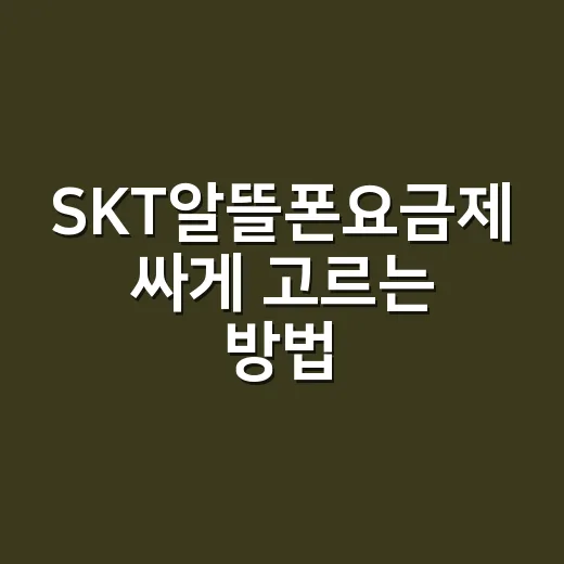 SKT알뜰폰요금제 싸게 고르는 방법, 초보자는 이렇게 보면 됩니다 - 요약