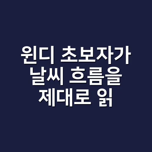 윈디 초보자가 날씨 흐름을 제대로 읽는 방법 - 요약