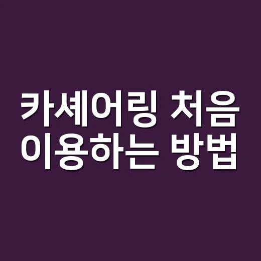 카셰어링 처음 이용하는 방법, 빌리기 전 꼭 확인할 것들