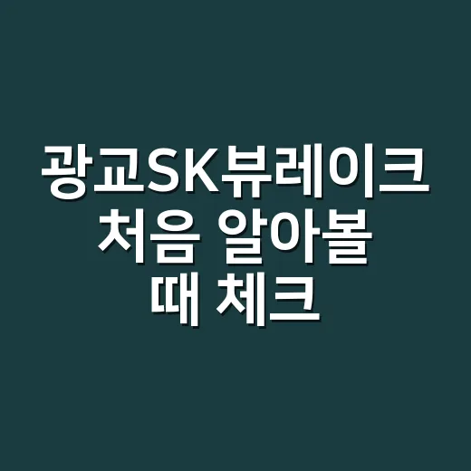 광교SK뷰레이크 처음 알아볼 때 체크하는 방법
