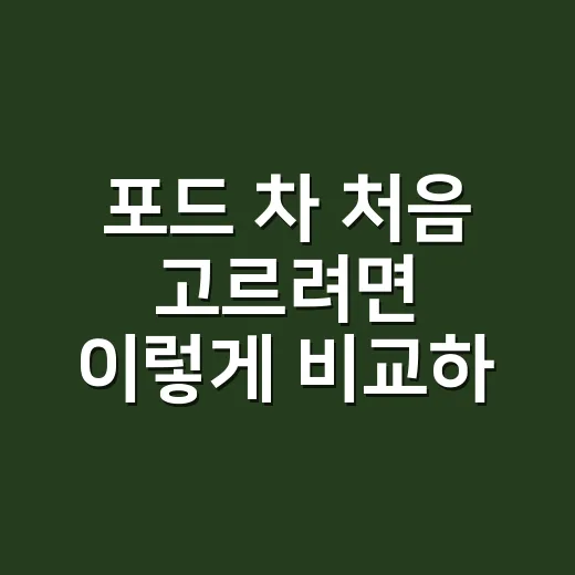 포드 차 처음 고르려면 이렇게 비교하면 쉽습니다 - 요약