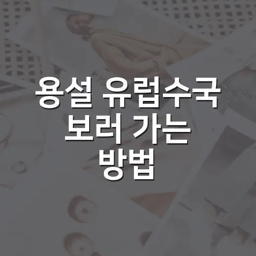 용설 유럽수국 보러 가는 방법, 가을 꽃길 제대로 즐기려면 이렇게 - 요약