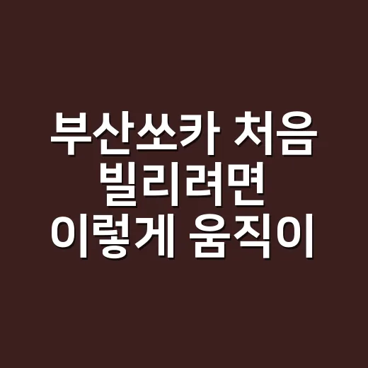 부산쏘카 처음 빌리려면 이렇게 움직이면 편합니다 - 요약
