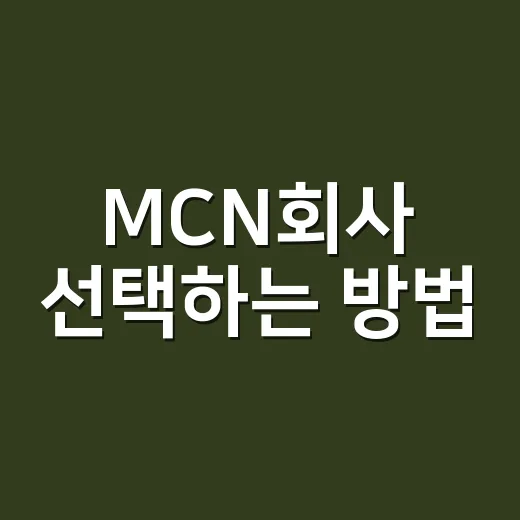 MCN회사 선택하는 방법, 크리에이터가 계약 전 꼭 확인할 것들 - 요약