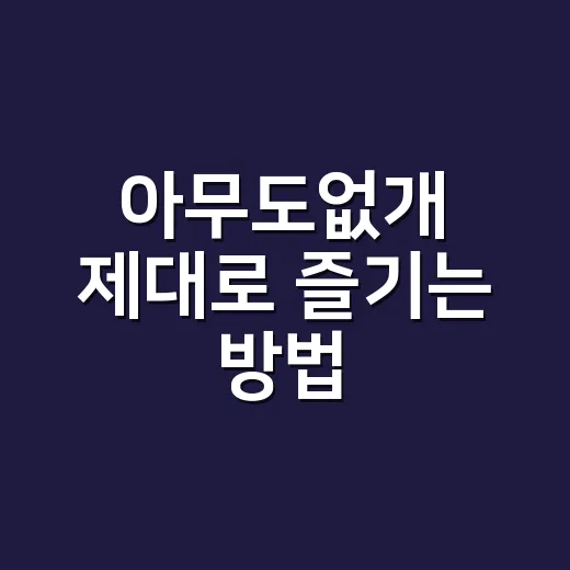 아무도없개 제대로 즐기는 방법, 처음 보는 사람도 금방 이해하게 - 요약