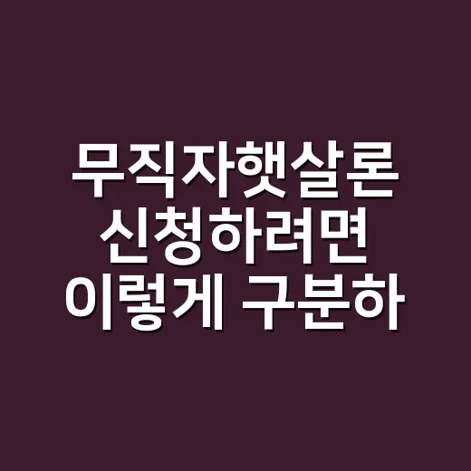 무직자햇살론 신청하려면 이렇게 구분하면 덜 헤맵니다 - 요약