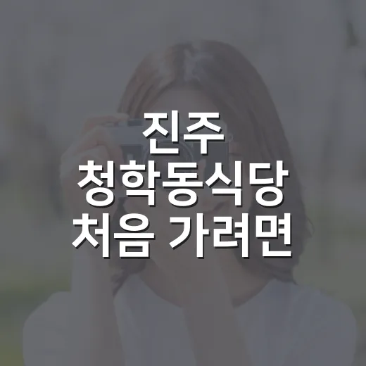진주 청학동식당 처음 가려면 이렇게 움직이면 편해요 - 요약