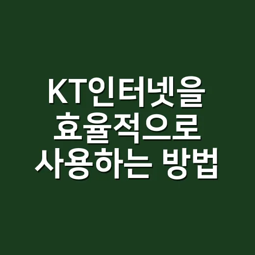 KT인터넷을 효율적으로 사용하는 방법 - 요약