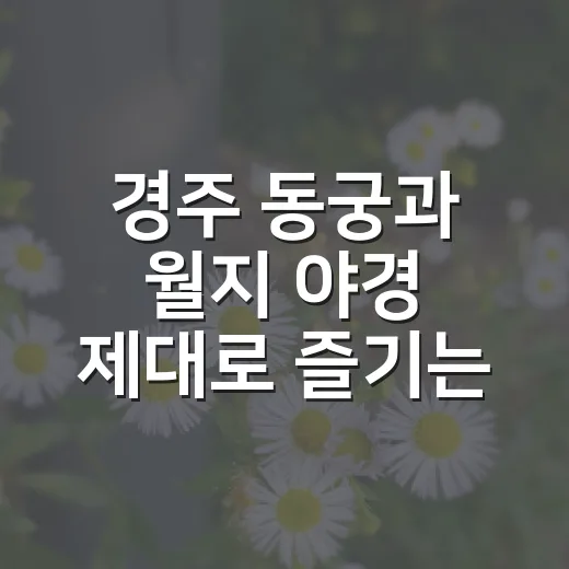 경주 동궁과 월지 야경 제대로 즐기는 방법 - 요약