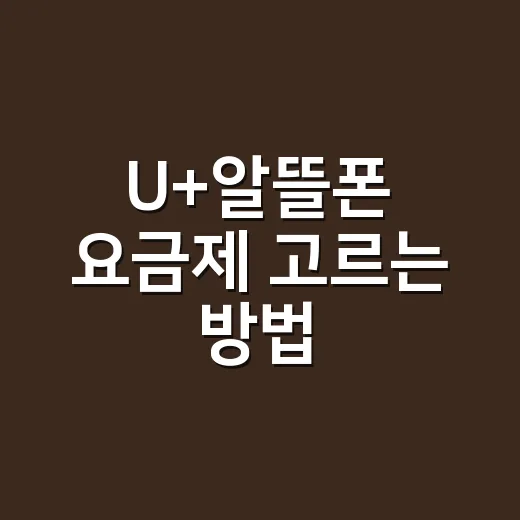 U+알뜰폰 요금제 고르는 방법, 초보자는 이렇게 시작하면 편합니다 - 요약