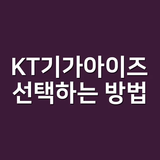 KT기가아이즈 선택하는 방법, 매장 CCTV 처음 고를 때 보는 기준 - 요약