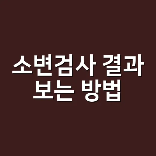 소변검사 결과 보는 방법, 단백뇨·혈뇨·요당 수치 이렇게 읽으면 덜 헷갈려요 - 요약