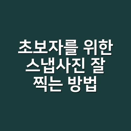 초보자를 위한 스냅사진 잘 찍는 방법, 일상 장면이 자연스러워지는 작은 습관 - 요약