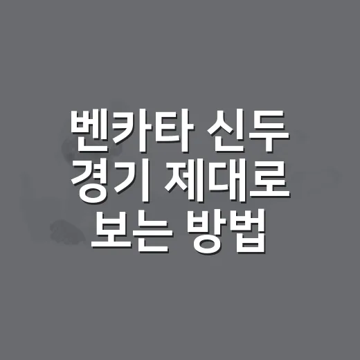 벤카타 신두 경기 제대로 보는 방법 - 요약