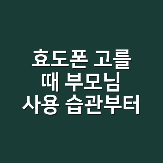 효도폰 고를 때 부모님 사용 습관부터 확인하는 방법 - 요약