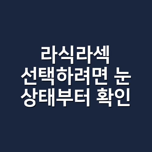 라식라섹 선택하려면 눈 상태부터 확인하는 방법 - 요약