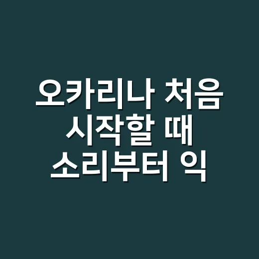 오카리나 처음 시작할 때 소리부터 익히는 방법 - 요약