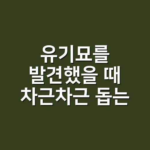 유기묘를 발견했을 때 차근차근 돕는 방법 - 요약