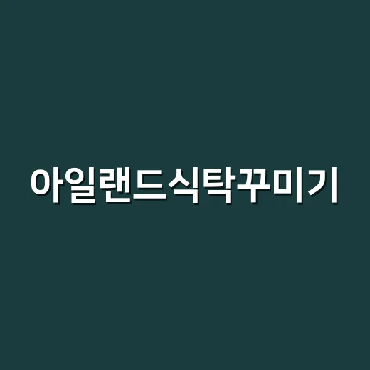아일랜드식탁꾸미기, 예쁘고 오래 유지하려면 이렇게 잡으세요 - 요약