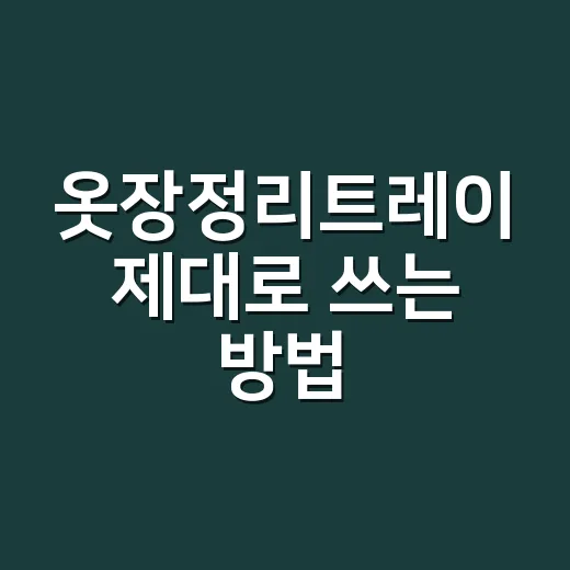 옷장정리트레이 제대로 쓰는 방법, 무너지는 옷장부터 잡으려면 이렇게 - 요약