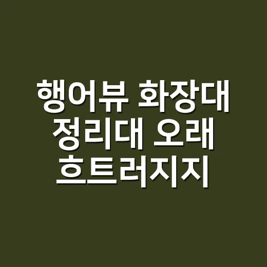 행어뷰 화장대 정리대 오래 흐트러지지 않게 쓰는 방법 - 요약