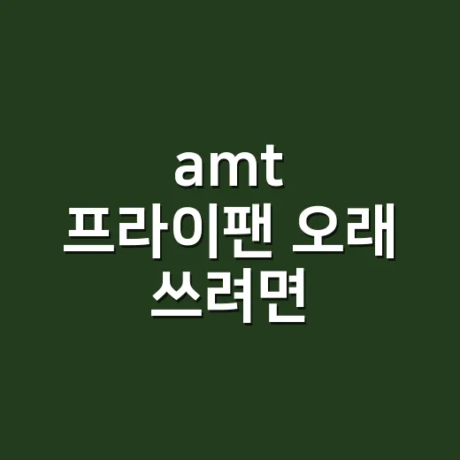 amt 프라이팬 오래 쓰려면 크기부터 고르는 방법 - 요약