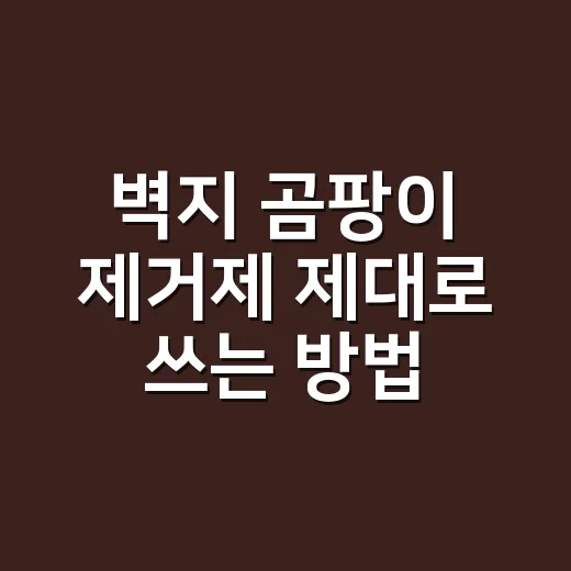 벽지 곰팡이 제거제 제대로 쓰는 방법 - 요약