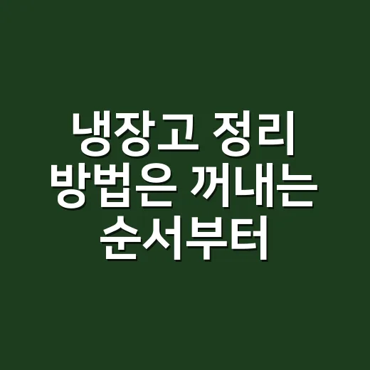 냉장고 정리 방법은 꺼내는 순서부터 바꾸는 것 - 요약