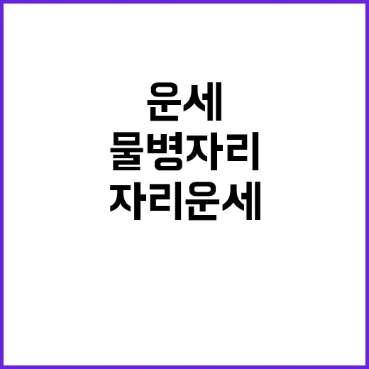 물병자리 운세를 이해하는 방법 - 요약