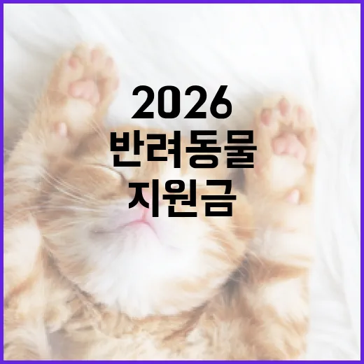 2026 반려동물 지원금을 받는 방법 - 요약