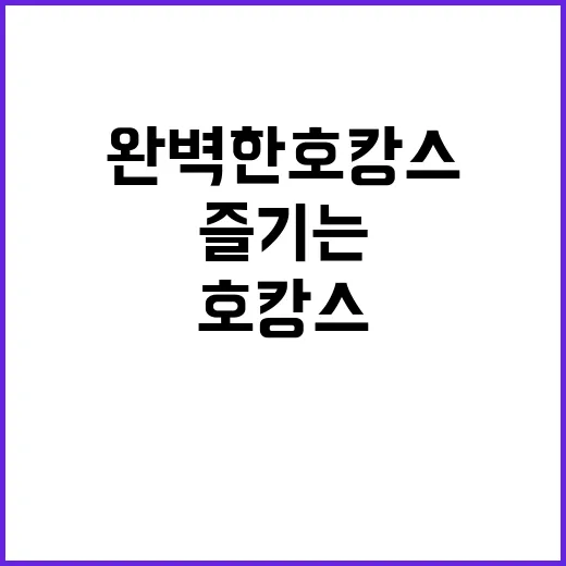 완벽한 호캉스를 즐…